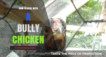 Taming the Tyrant: Strategies to Handle a Bully Chicken Effectively
