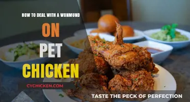 Treating a Wound on Your Pet Chicken