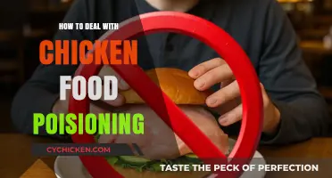 Effective Ways to Handle and Recover from Chicken Food Poisoning