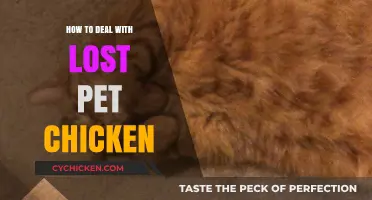 Finding Your Missing Chicken: Tips for Locating and Recovering Lost Poultry