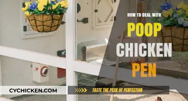 Effective Tips for Cleaning and Maintaining a Poop-Filled Chicken Pen