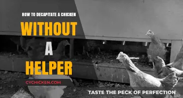 Decapitating Chickens Solo: A Step-by-Step Guide
