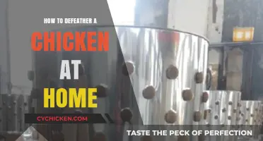 Mastering Home Poultry Processing: Easy Steps to Defeather a Chicken