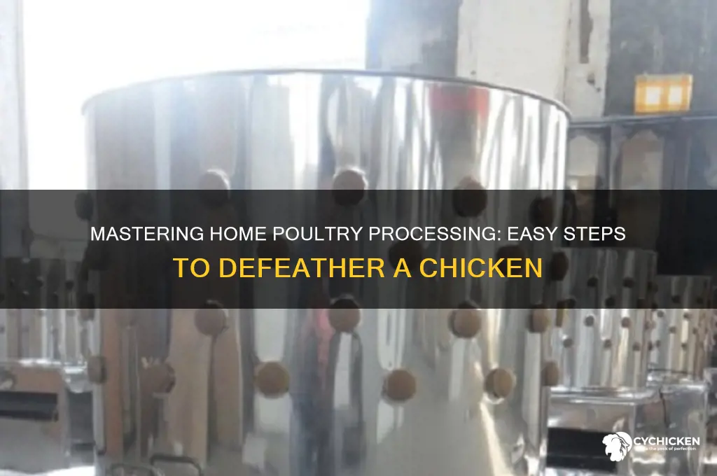 how to defeather a chicken at home