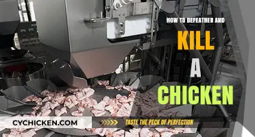 Mastering Humane Chicken Processing: Defeathering and Butchering Techniques Explained