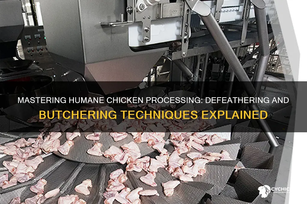 how to defeather and kill a chicken