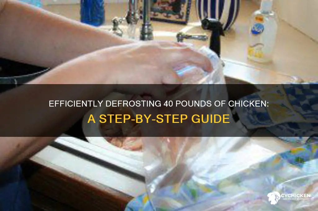 how to defrost 40 pounds of chicken