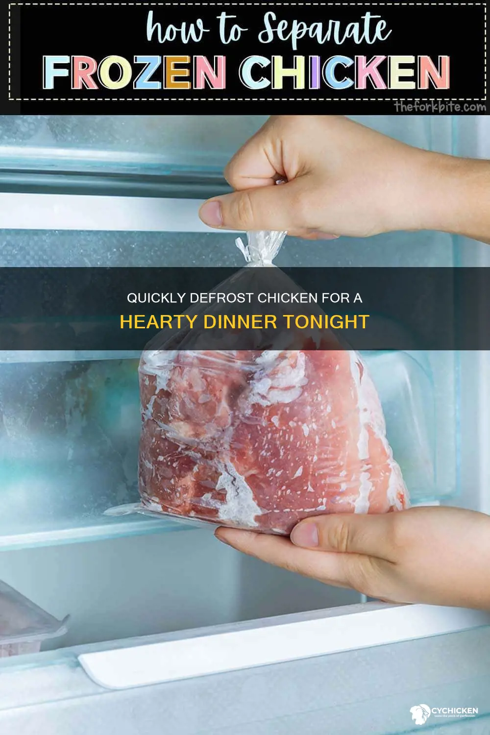 how to defrost 5 pieces of chicken for dinner tonihht