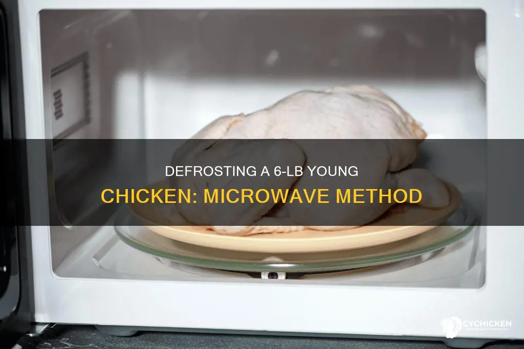 how to defrost 6 lb young chicken in microwae