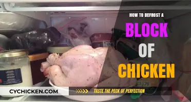 Quick and Safe Methods to Defrost a Block of Chicken