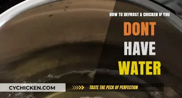 Defrosting Chicken: No Water? Try These Quick Fixes