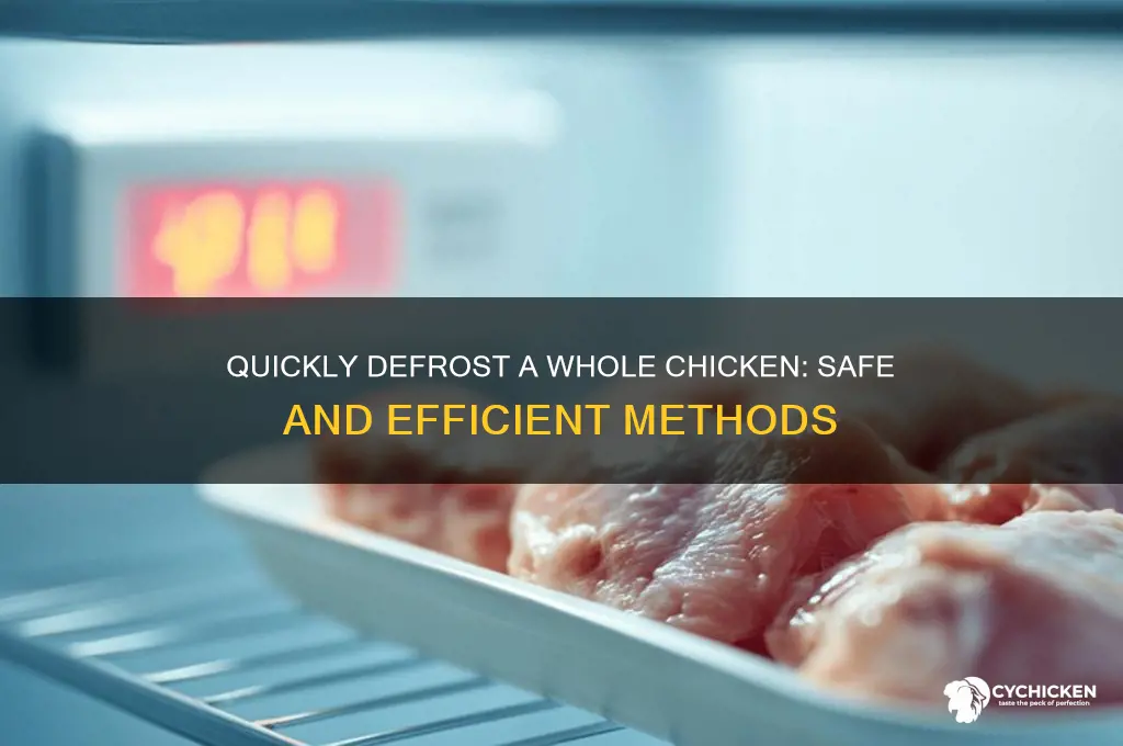 how to defrost a full chicken fast