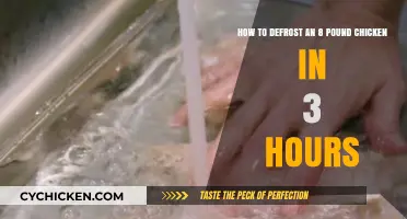 Quickly Defrost a Large Chicken in Just 3 Hours
