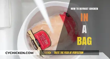 Quick and Safe: Defrosting Chicken in a Bag Made Easy