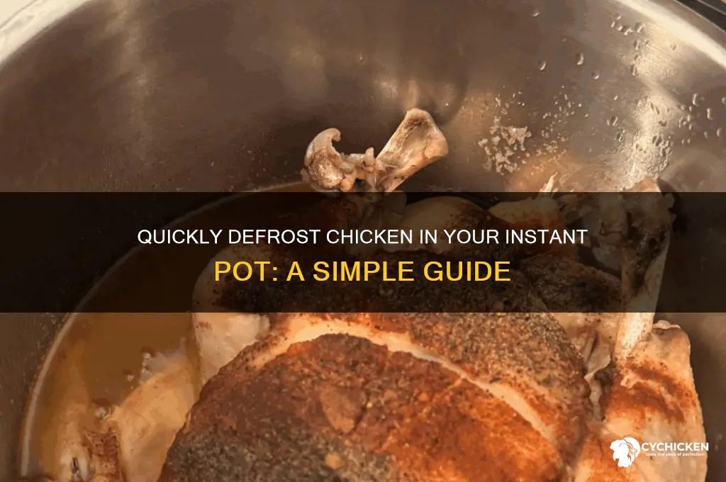 how to defrost chicken in an instapot