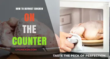 Quick and Safe Tips for Defrosting Chicken on the Counter