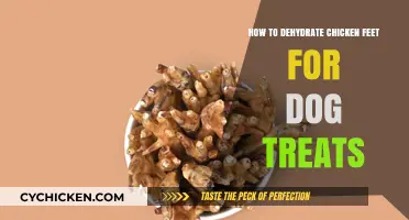 Dehydrating Chicken Feet: Healthy Dog Treats at Home