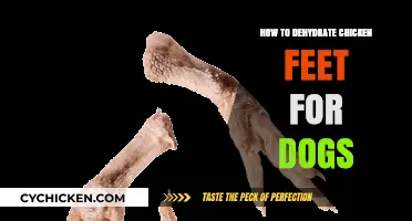 Dehydrating Chicken Feet for Dogs: A Healthy, Crunchy Treat Guide