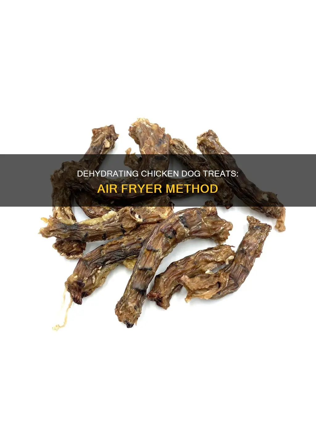 how to dehydrate chicken for dog treats in air fryer