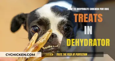 Dehydrating Chicken: Healthy Dog Treats Made Easy