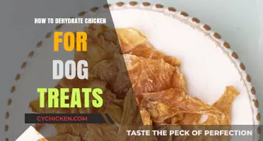 Easy DIY Dehydrated Chicken Treats for Your Dog: A Healthy Snack Guide