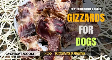 Dehydrating Chicken Gizzards: A Healthy Dog Treat Guide