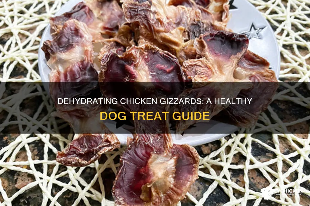 how to dehydrate chicken gizzards for dogs