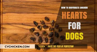 Dehydrating Chicken Hearts: A Healthy Dog Treat Guide