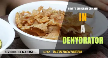 Mastering Dehydrated Chicken: Easy Steps Using Your Food Dehydrator