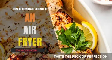 Dehydrating Chicken in an Air Fryer: A Step-by-Step Guide