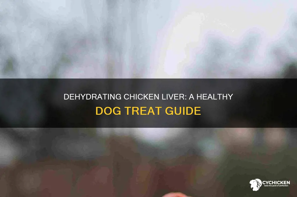 how to dehydrate chicken liver for dogs