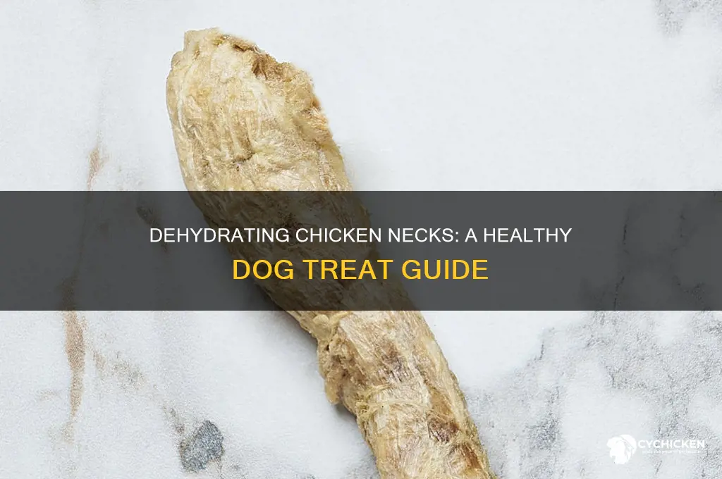 how to dehydrate chicken necks for dogs
