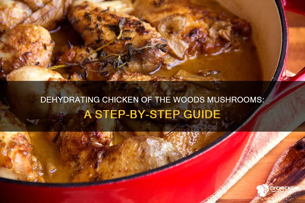 how to dehydrate chicken of the woods mushrooms