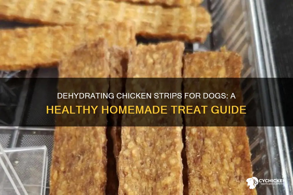 how to dehydrate chicken strips for dogs