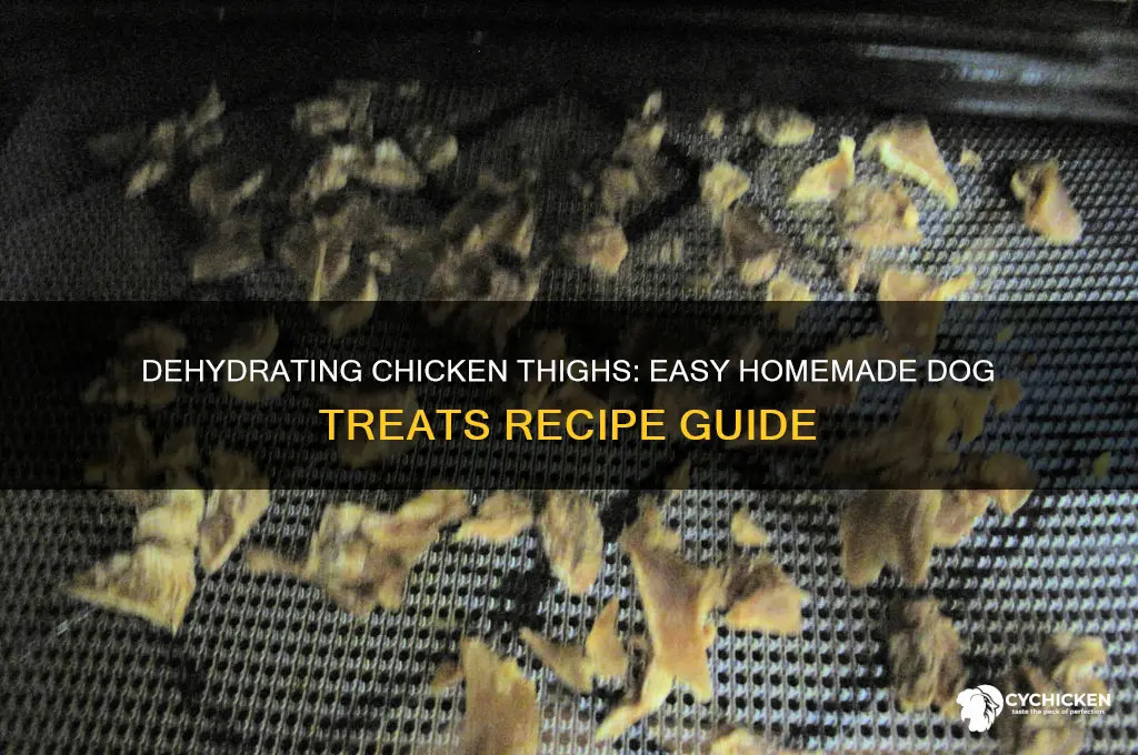 how to dehydrate chicken thighs for dog treats