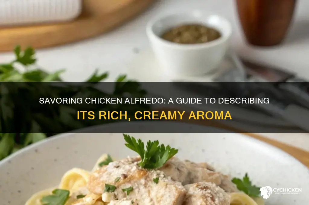 how to describe smell of chicken alfredo