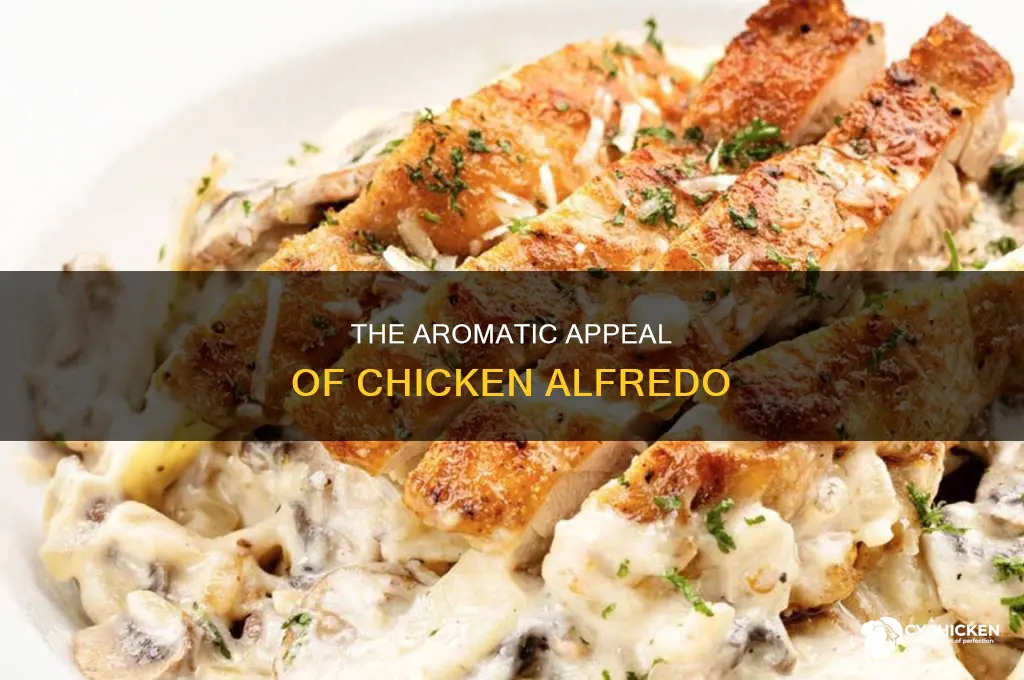 how to describe the smell of chicken alfredo