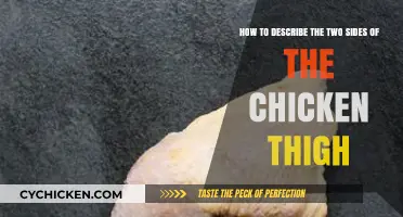 Understanding Chicken Thigh Anatomy: Describing the Inner and Outer Sides