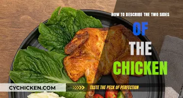 Chicken Dichotomy: Exploring the Two Sides
