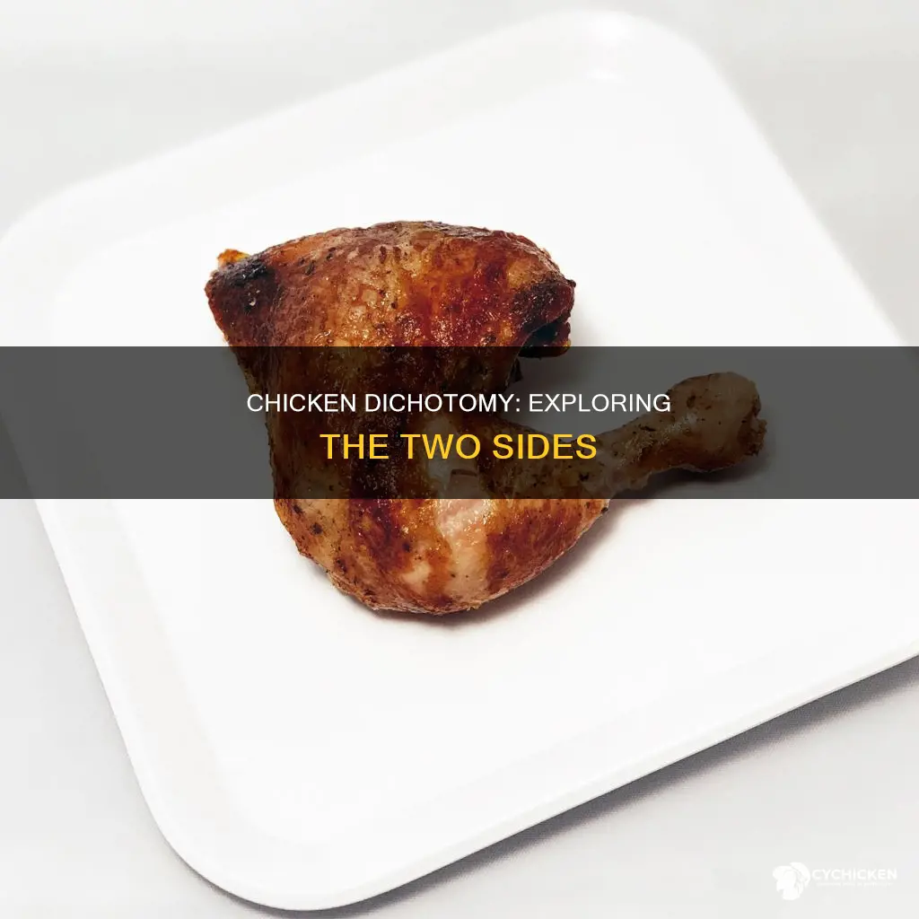 how to describe the two sides of the chicken