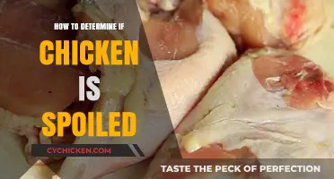 How to Determine if Chicken is Spoiled: A Quick Guide