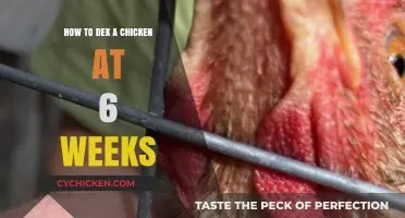 Dexing Chickens: A 6-Week Guide