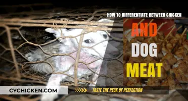 Identifying Chicken and Dog Meat: A Definitive Guide