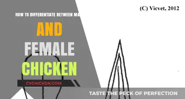 Identifying Gender: Male or Female Chickens?