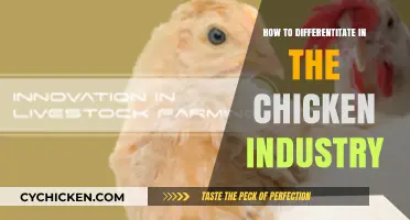 Innovative Strategies to Stand Out in the Competitive Chicken Industry