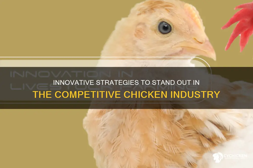 how to differentitate in the chicken industry