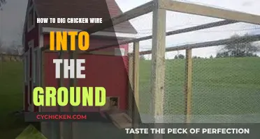Chicken Wire Installation: Digging Deep for Security
