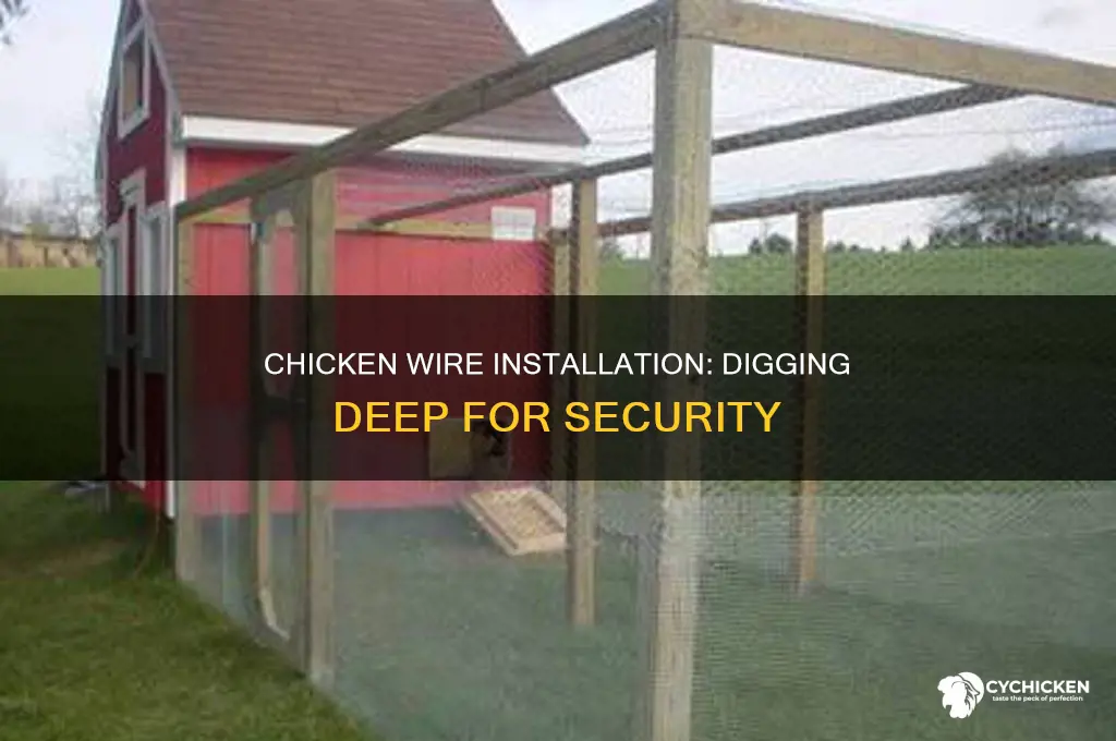 how to dig chicken wire into the ground