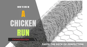 Digging in Your Chicken Run: Tips for Safe and Easy Excavation