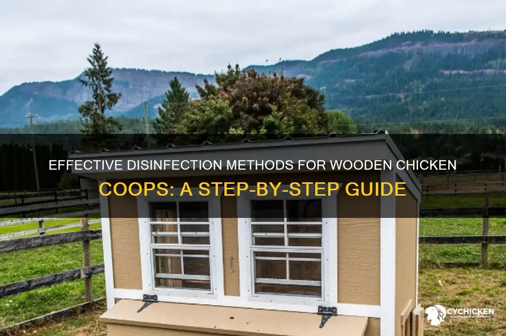 how to disinfect a wooden chicken co